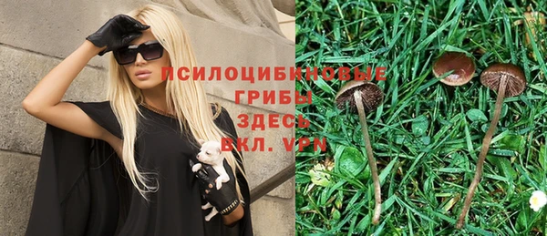 эйфоретик Козловка