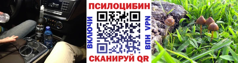 Псилоцибиновые грибы GOLDEN TEACHER  Купить  Новохопёрск 